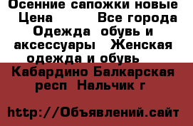 Осенние сапожки новые › Цена ­ 600 - Все города Одежда, обувь и аксессуары » Женская одежда и обувь   . Кабардино-Балкарская респ.,Нальчик г.